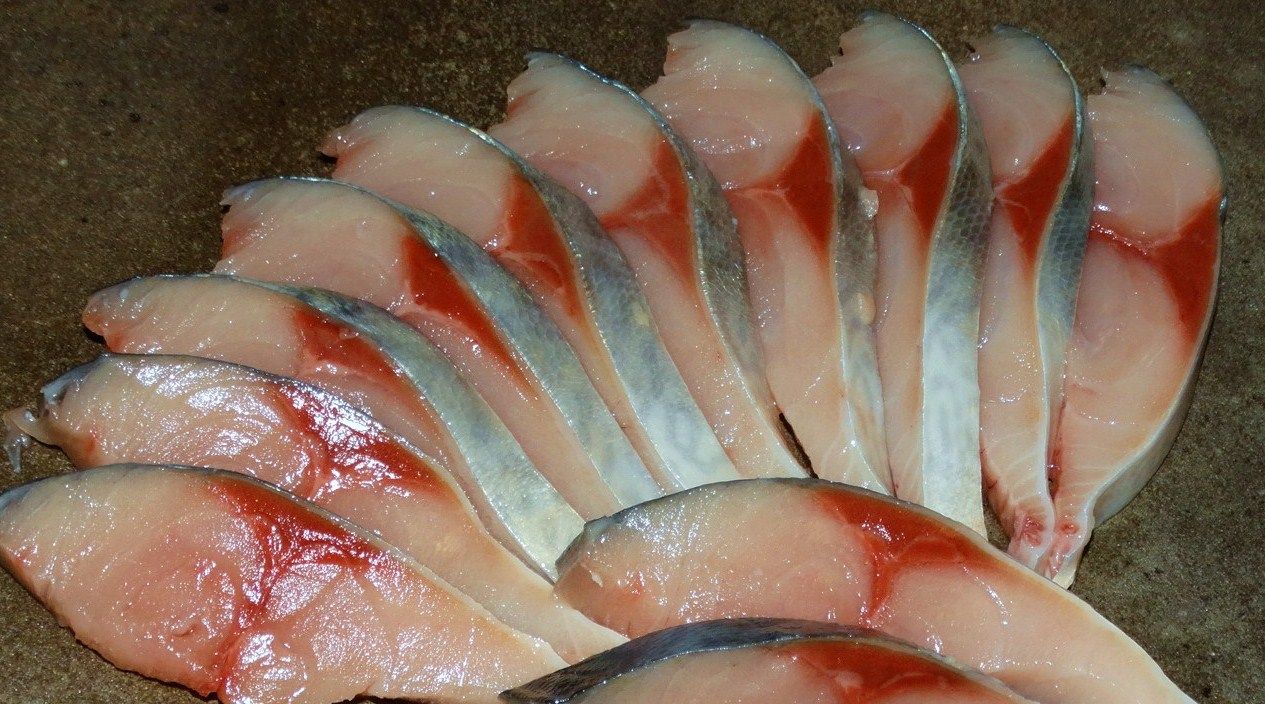 鯖しゃぶ 土佐料理 旬の鰹がゆく