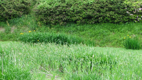 DSC02212