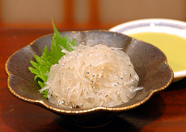 のれそれ 土佐料理 旬の鰹がゆく