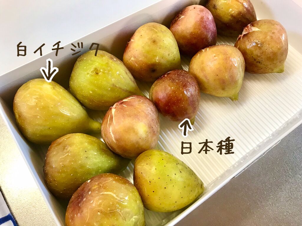 濃厚さんとスッキリさん じゃぱかる日和 濃厚さんとスッキリさん じゃぱかる日和