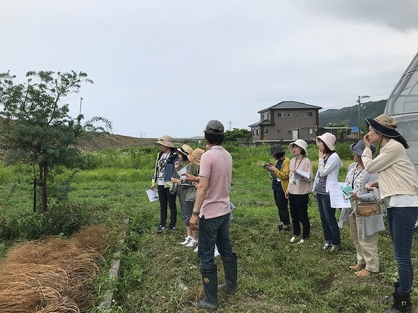 2019.6.23 ハーブ (8)