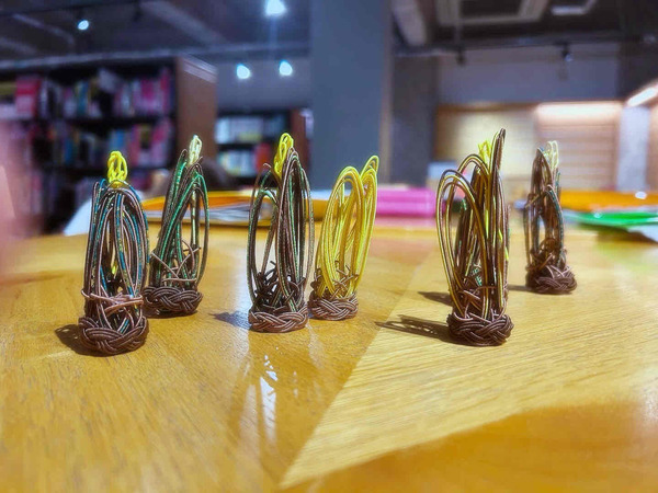 takenoko