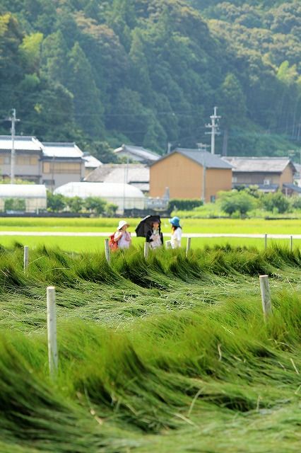 癒しの香りツアー2日目 027