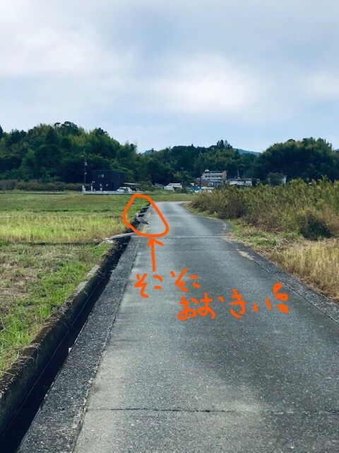 2020.11.8 おさんぽ (11)_LI