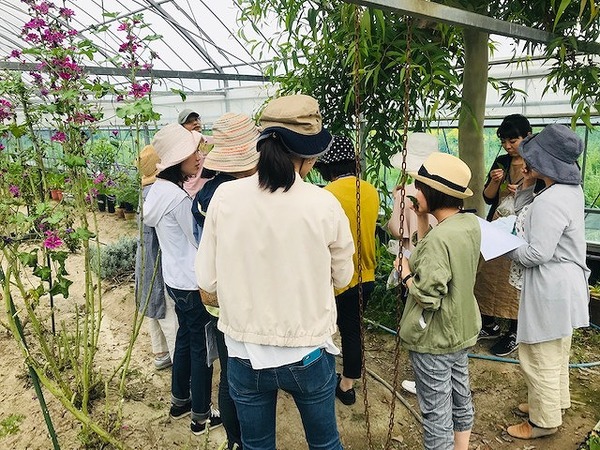 2019.6.23 ハーブ (2)