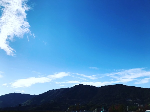 2020.11.8 おさんぽ (7)