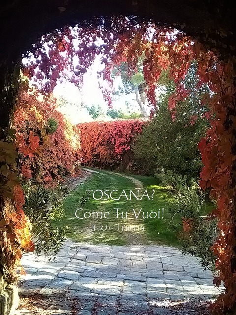 IMG_20171015_160243-1