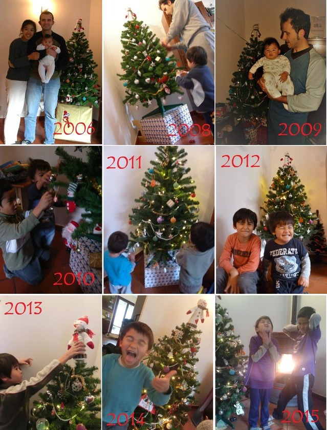 albero10 anni