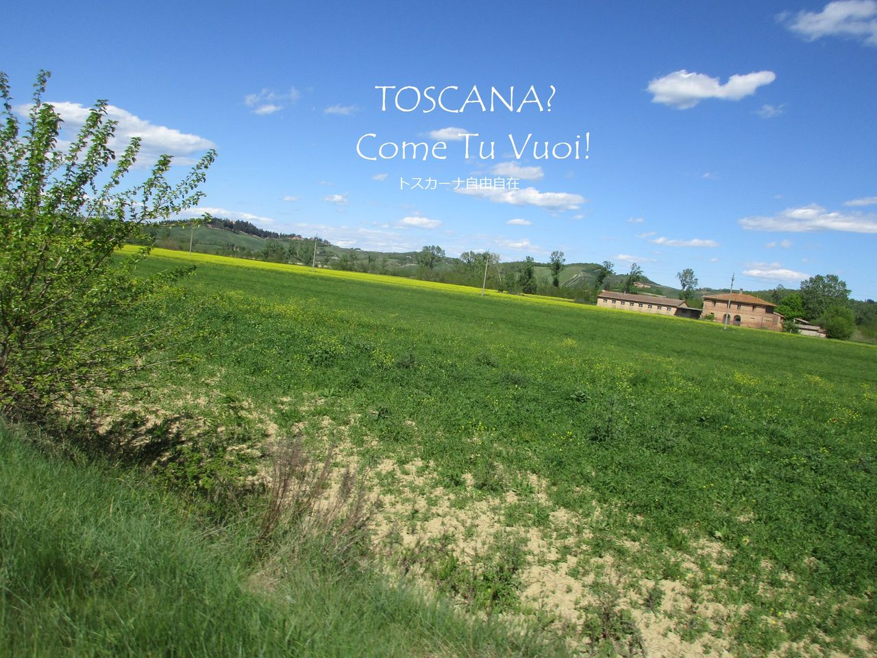 走行中の車の窓から写真を撮る テクニックと画像処理 イタリア トスカーナ専門コーディネイターのトスカーナ田舎暮らし