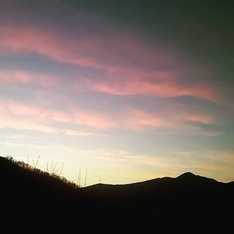 27073013_1556553497786196_7925689852516150807_n