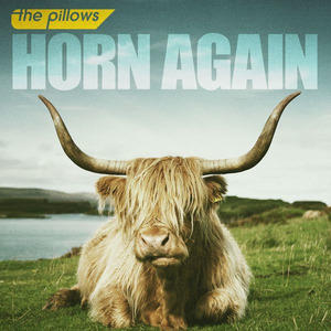 The_Pillows_Horn_Again_2011