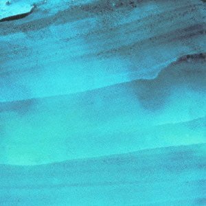 _SL500_AA300_