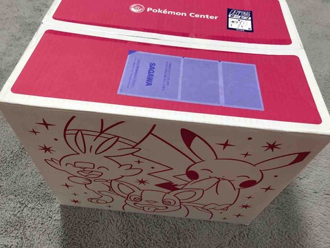 福袋ネタバレ ポケモンセンター福袋 ピカピカボックス21 中身紹介 としおの読書生活