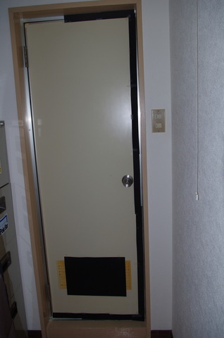 IMGP3482