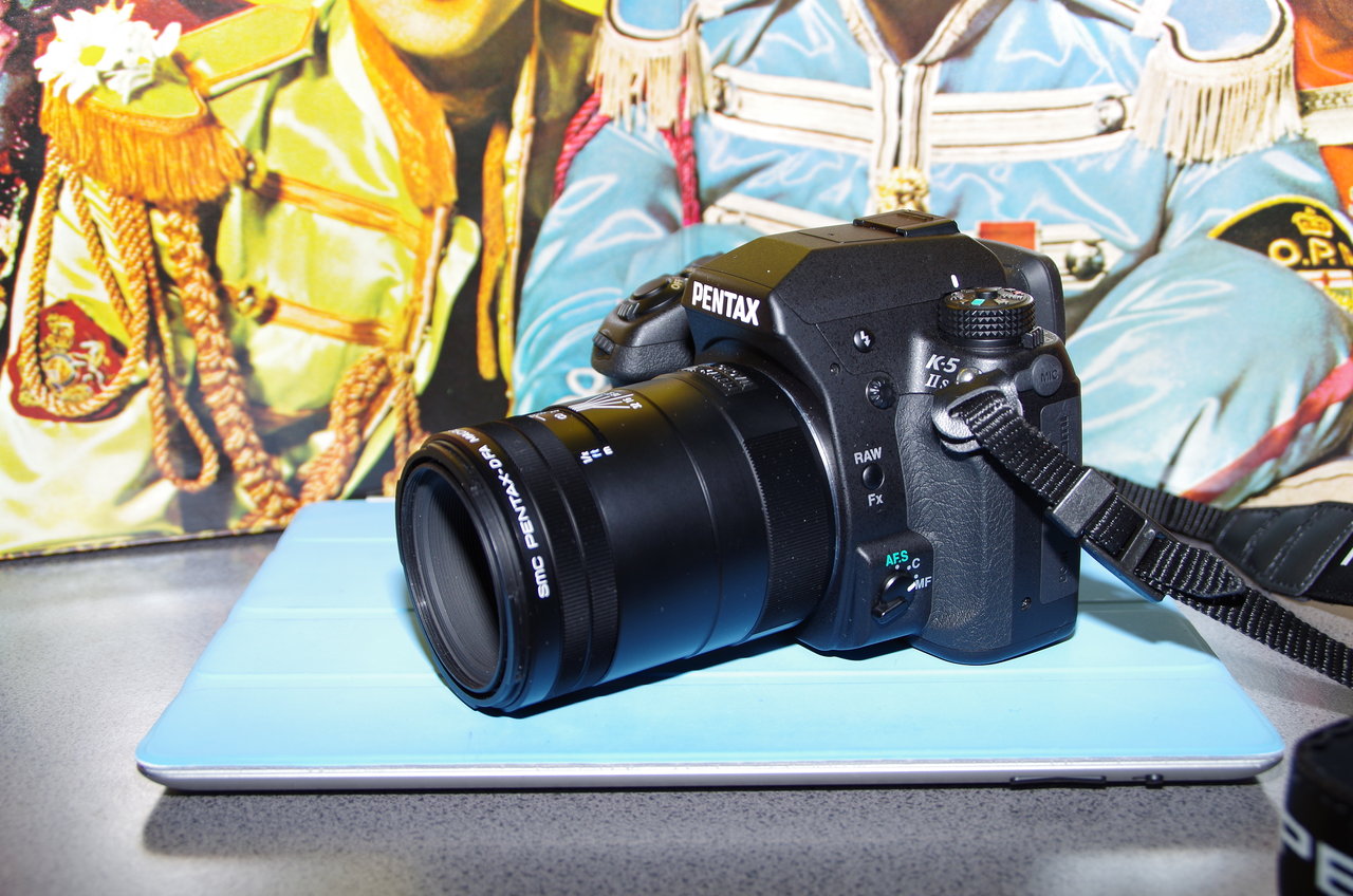 マクロレンズにて 撮影data Pentax K 5 S Smc Pentax Dfa Macro 100mm F2 8 Wr A Day In My Life れのん亭 日乗 マクロレンズにて 撮影data Pentax K 5 S Smc Pentax Dfa Macro 100mm F2 8 Wr A Day In My Life れのん亭 日乗