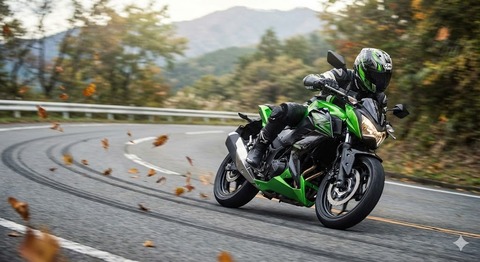 買うと決めてから半年近くたってようやく・・。