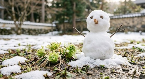 2026年2月投資結果。