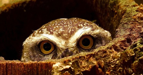 横這い。主力株は逆行安。