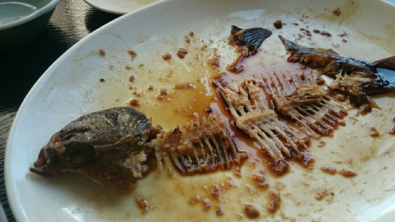 煮魚がいい トシ猫の食いしん坊日記