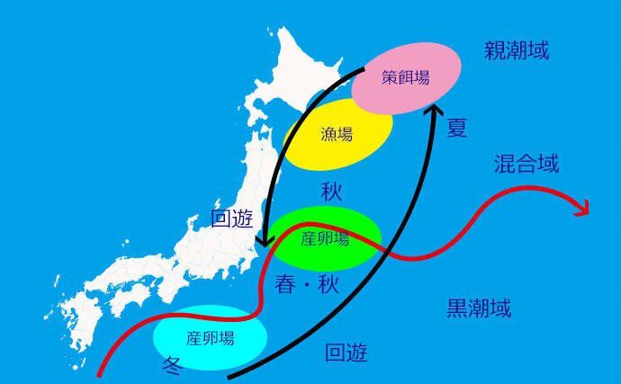 サンマ漁獲量が急減ーーーずれた回遊ルートと資源量の減少が原因 Toshi Tomieのブログ