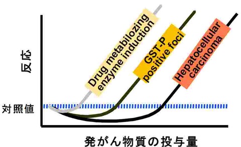 発癌物質のホルミシス効果