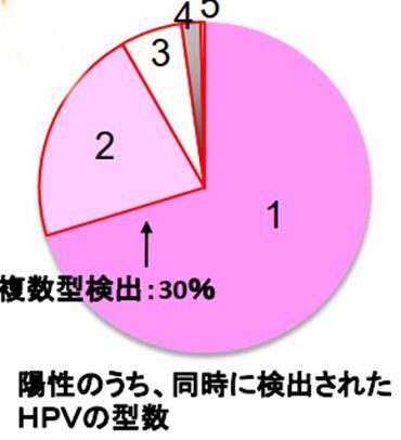 同時検出のhpv型数