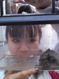 石垣明日香 いい日旅立ち 石垣明日香 いい日旅立ち