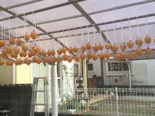 49ED6E55-9376-40DB-BCF8-138A7115E384