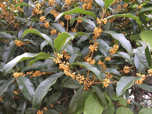 EBFDC004-67F7-4C12-9B97-478ACE56E0C6