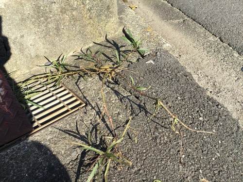 2E15CF87-EFC9-48A0-B6DA-1FDACE1EE69D