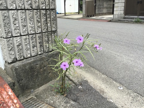 7C98D5D5-F04B-4ABB-BACE-6748F63E59D4