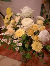 22918d36.jpg