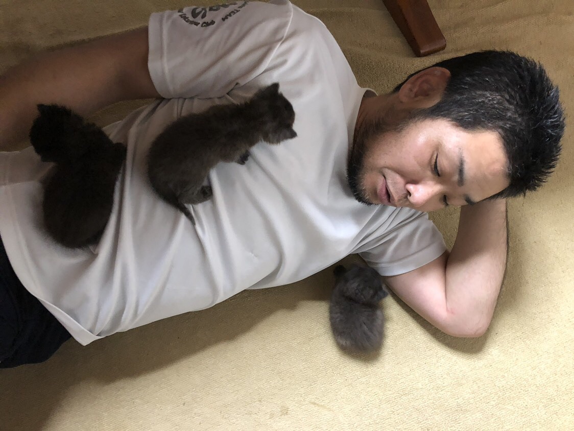 仔猫よりも自分の子供の方が可愛いのだろうか 大野英章の 昼夜常精進