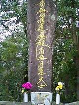 755a2399.jpg