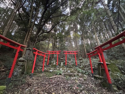 D1002888-5EC7-452D-B63F-8A9A47133BCB