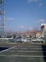 990064c1.jpg