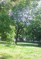 a85b89bd.jpg