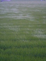 aa862034.jpg