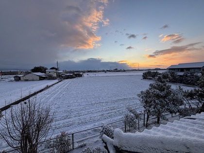 DDCA1916-B7BD-4D13-A469-925FFCDD656B