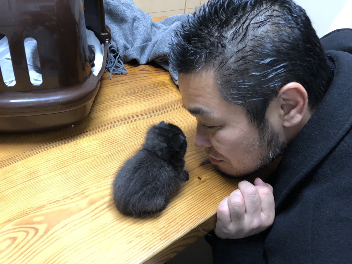 仔猫よりも自分の子供の方が可愛いのだろうか 大野英章の 昼夜常精進 仔猫よりも自分の子供の方が可愛いのだろうか 大野英章の 昼夜常精進