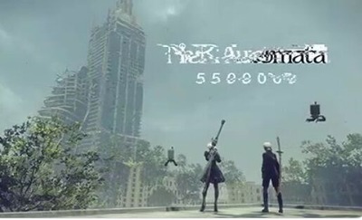 (19) NieR