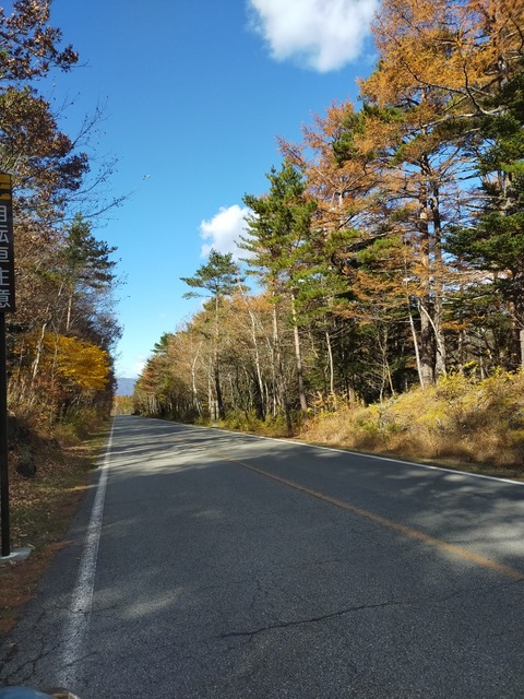IMG20211105131407