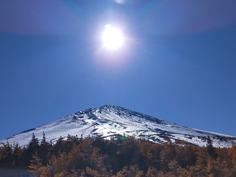 IMG20211105115004