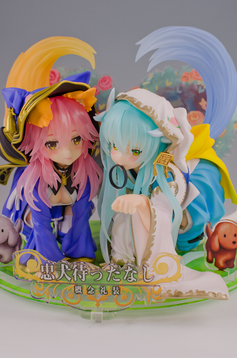 忠犬待ったなし 玉藻＆清姫 Fate/Grand Order コネクトレクト