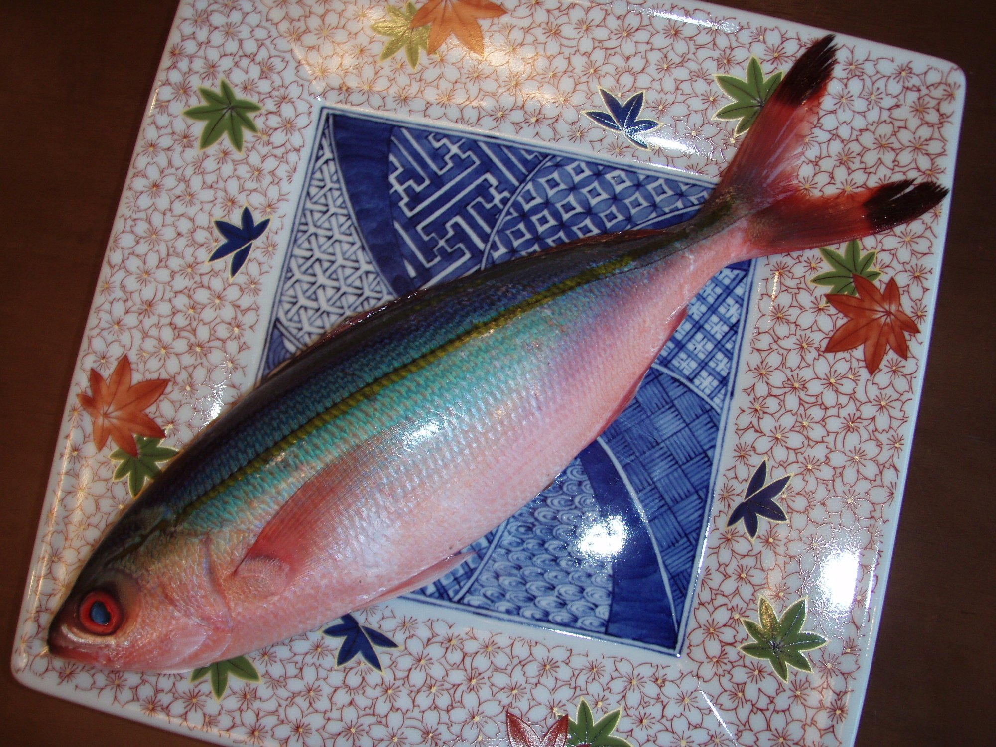 串本では珍しい魚で 花ムロ と呼ばれ 沖縄ではポピュラーな県魚 グルクン タカサゴ と呼ばれる魚の画像である 今日は知り合いの方からメジロを頂きその造りをおまけとしてお客様に提供する 椿道旅館だより