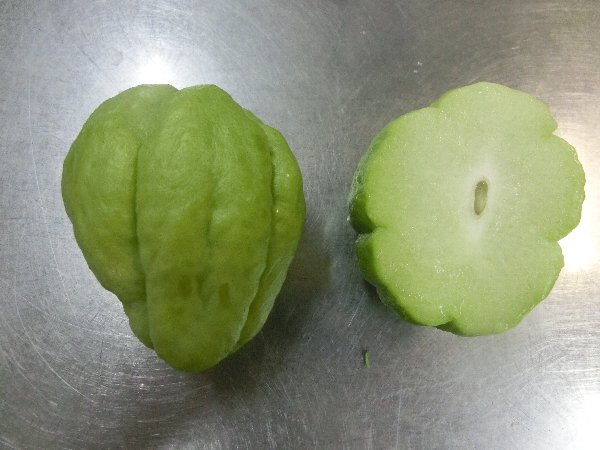 2連泊の 福山市の中学生 隼人瓜 その味噌汁 パン朝食の温野菜と手羽焼き 特盛り と呼ぶ 柿シャーベット である 椿道旅館だより 2連泊の 福山市の中学生 隼人瓜 その味噌汁 パン朝食の温野菜と手羽焼き 特盛り と呼ぶ 柿シャーベット である 椿道旅館だより