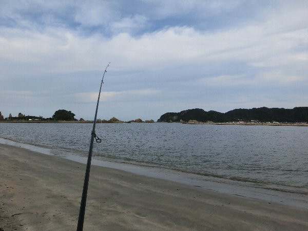 今日釣りをした 橋杭岩海水浴場の浜 同場から紀伊大島を望む 投げ釣り仕掛け 今日の釣果 ガッチョの唐揚げとキスのフライなど 椿道旅館だより