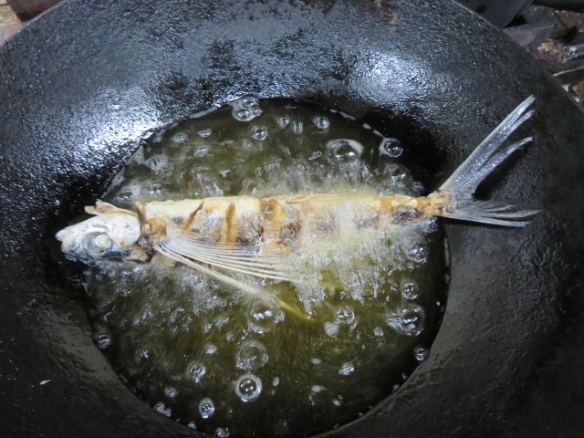 咲き始めた 鬱金 うこん 桜 昼餉の 鰹木の芽散らし茶漬け 夕餉の 木の芽チラシ造り 飛魚の唐揚げ甘酢あんかけ 電気屋さんのオマケ 買物袋 である 椿道旅館だより