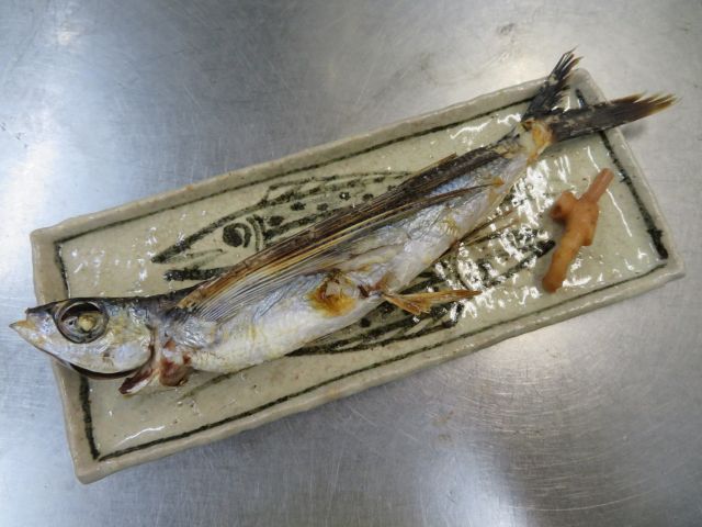 早朝の 梅雨晴れ雲 ペチュニアと赤紫蘇 小鳥ちゃん 昨日の夕餉 飛魚の塩焼き 平隠元の胡麻和え 朝餉の 餃子 ベーコンエピー他 昼餉の 汁かけ飯 である 椿道旅館だより 早朝の 梅雨晴れ雲 ペチュニアと赤紫蘇 小鳥ちゃん 昨日の夕餉 飛魚の塩焼き 平隠元の胡麻和え 朝餉の 餃子 ベーコンエピー他 昼餉の 汁かけ飯 である 椿道旅館だより