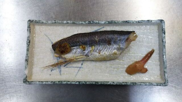 秋雲 豆苗水耕栽培 昨日の夕食 飛魚塩焼き 洋梨シャーベット 朝食の ブロッコの卵とじ インゲン豆の胡麻和え 訪問調査員が置いて行った 旅行者心得 である 椿道旅館だより 秋雲 豆苗水耕栽培 昨日の夕食 飛魚塩焼き 洋梨シャーベット 朝食の ブロッコの卵とじ インゲン豆の胡麻和え 訪問調査員が置いて行った 旅行者心得 である 椿道旅館だより